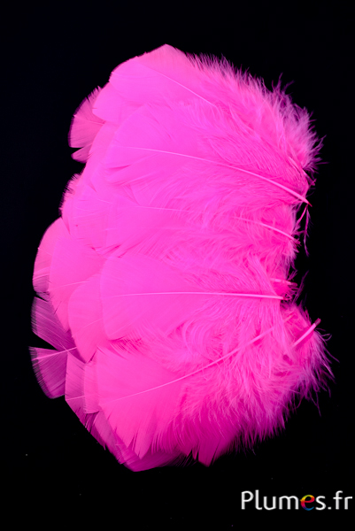 Dinde - 6-8 cm - pink